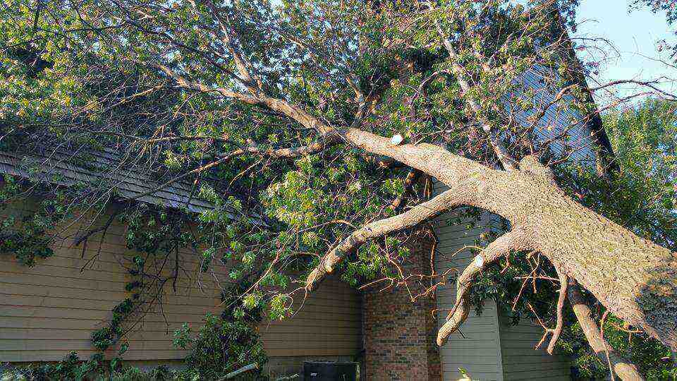 Storm damage assessment service in White Bear Lake MN