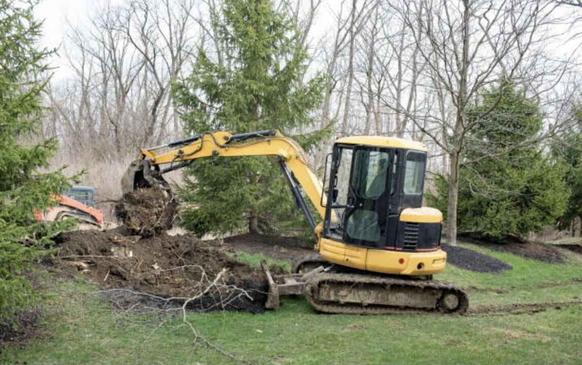Stump removal service in White Bear Lake MN