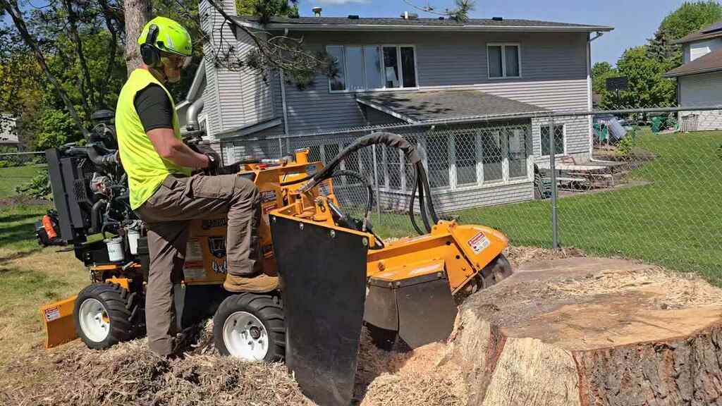 Stump grinding service in White Bear Lake